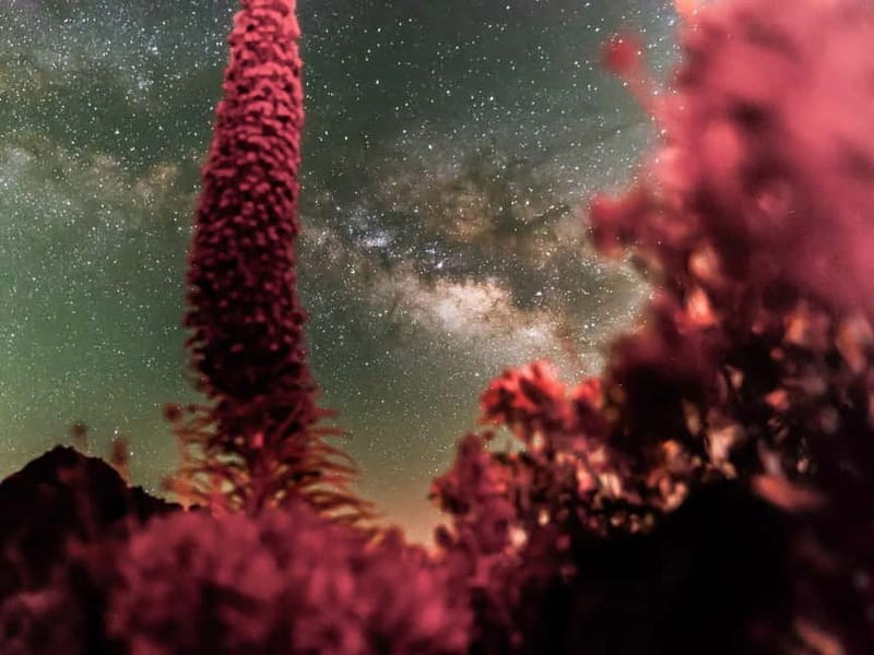 Tenerife: Teide Stargazing with an Astrophysicist - Weather cancellations and flexible planning