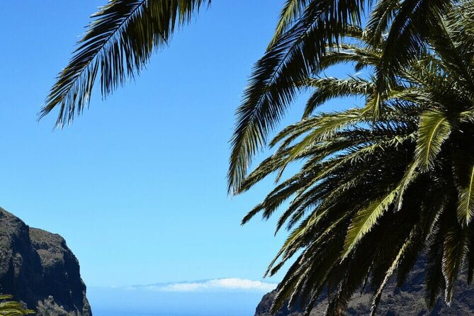 Tenerife Tour Mt. Teide and the Towns of Icod, Garachico, Masca - Garachico’s lava-shaped coastline