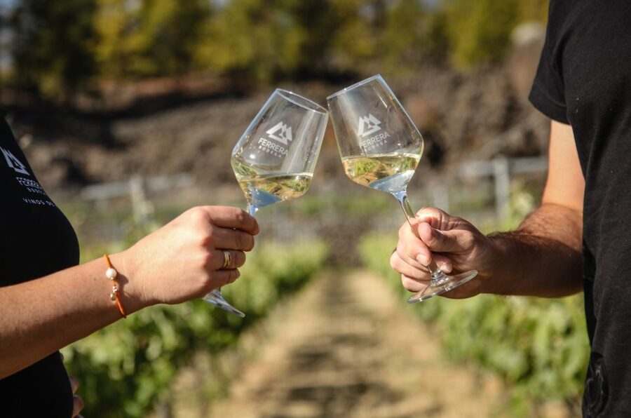 Tenerife: Tour of an Organic Vineyard with Tasting & Snacks - The price and what you receive