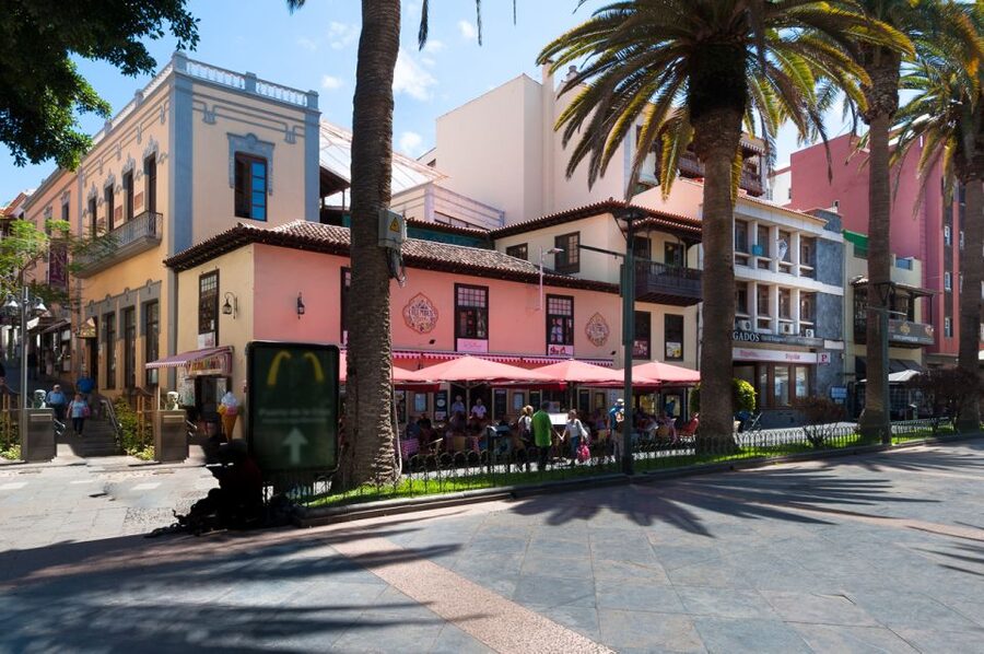 Tenerife: Trip to Puerto de la Cruz - The coach journey from southern Tenerife