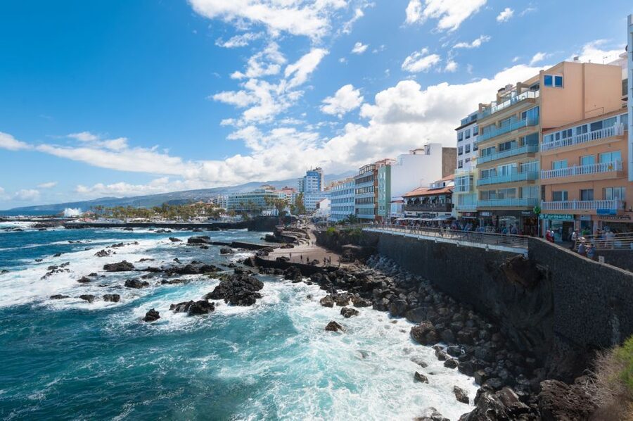 Tenerife: Trip to Puerto de la Cruz - Gardens, orchids, and old European connections