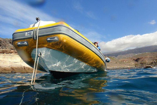 Tenerife Turtle and Snorkel Tour from Costa Adeje - Should you book it?