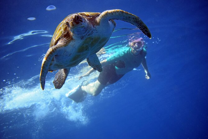 Tenerife: Turtle & Dolphin Kayak Tour with Snorkel & Wetsuit - Paddling out from Los Cristianos
