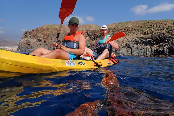 Tenerife: Turtle & Dolphin Kayak Tour with Snorkel & Wetsuit - Tenerife’s west coast from a kayak