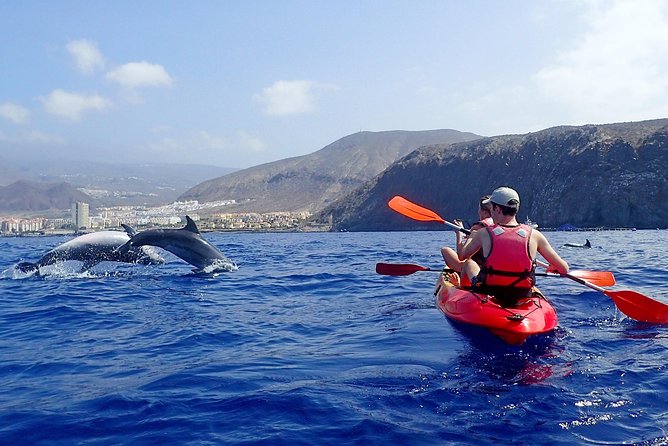 Tenerife: Turtle & Dolphin Kayak Tour with Snorkel & Wetsuit - A short snorkeling stop in open water