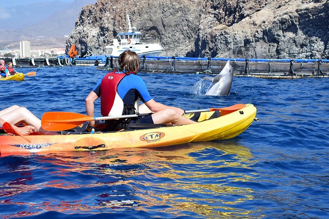 Tenerife: Turtle & Dolphin Kayak Tour with Snorkel & Wetsuit - The return paddle and Mount Teide views