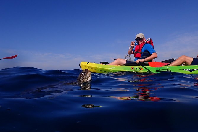 Tenerife: Turtle & Dolphin Kayak Tour with Snorkel & Wetsuit - What the guides add to the experience