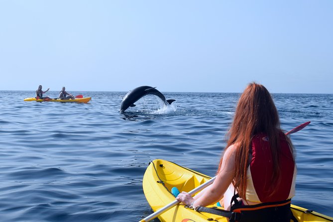 Tenerife: Turtle & Dolphin Kayak Tour with Snorkel & Wetsuit - How hard is six kilometers by kayak?