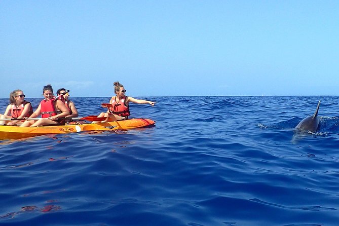 Tenerife: Turtle & Dolphin Kayak Tour with Snorkel & Wetsuit - Who should book this tour?