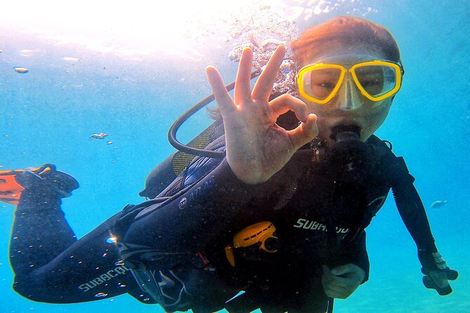 Tenerife Under The Sea - dive into 1-1 personalised experience - Looking for fish, stingrays, and turtles