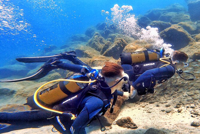 Tenerife Under The Sea - dive into 1-1 personalised experience - Languages, timing, and practical planning