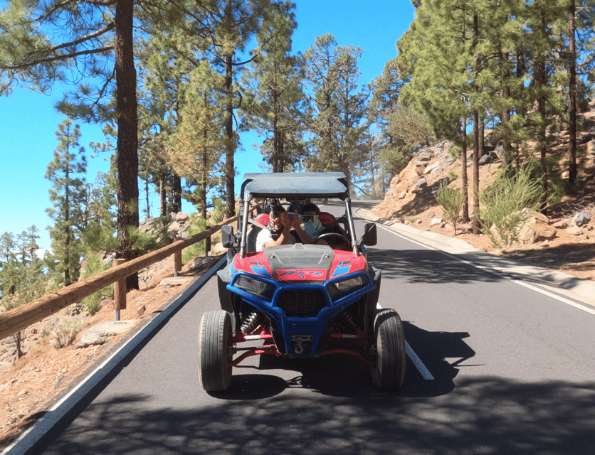 Tenerife: Volcano Teide Buggy Tour with Wine Tasting & Tapas - Wine and tapas at a Tenerife bodega