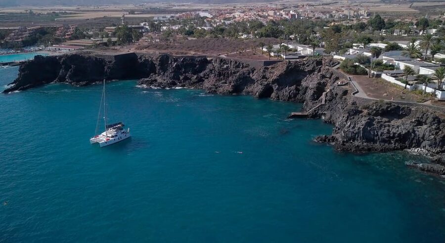 Tenerife: Whale and Dolphin Watching Boat Tour - Why this short Tenerife cruise works well