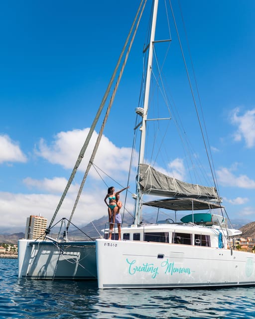 Tenerife: Whale and Dolphin Watching Boat Tour - What the two-hour route is really like