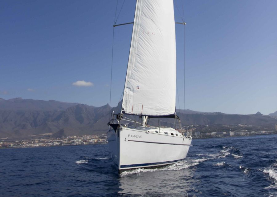 Tenerife: Whale and Dolphin Watching Tour by Sailboat - Setting out from Puerto Colón, Dock 8