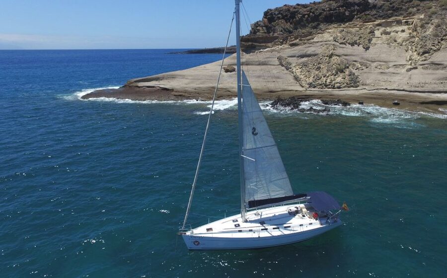 Tenerife: Whale and Dolphin Watching Tour by Sailboat - Three hours along the Costa Adeje coast