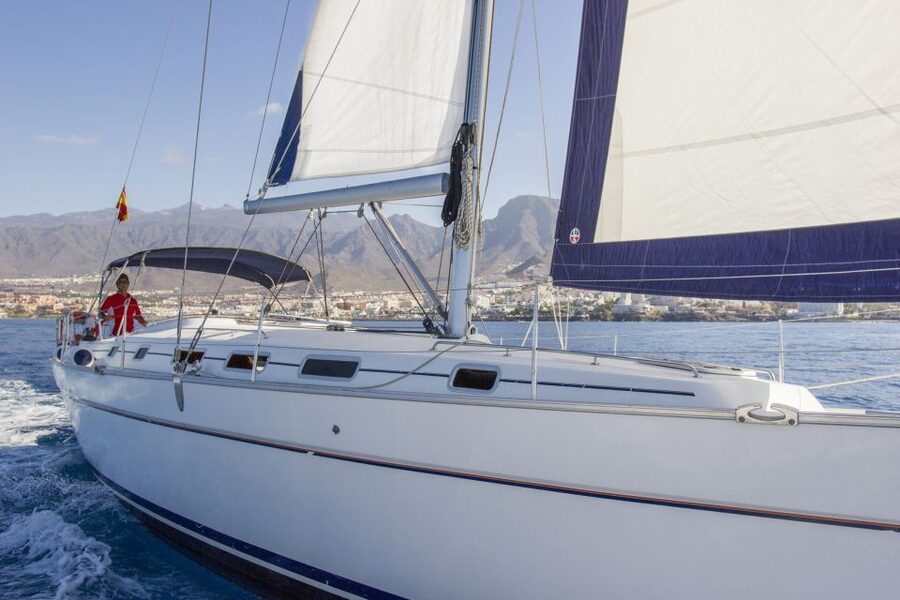 Tenerife: Whale and Dolphin Watching Tour by Sailboat - What the $69 price really buys you