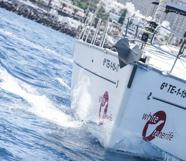 Tenerife: Whale and Dolphin Watching Tour by Sailboat - Booking and planning tips that matter