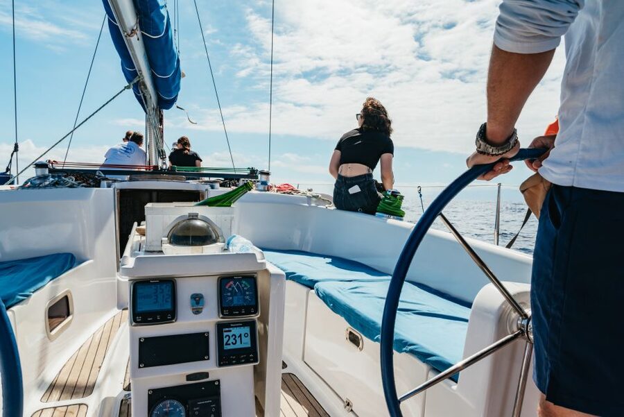 Tenerife: Whale & Dolphin Watching with Drinks and Snacks - What could disappoint you
