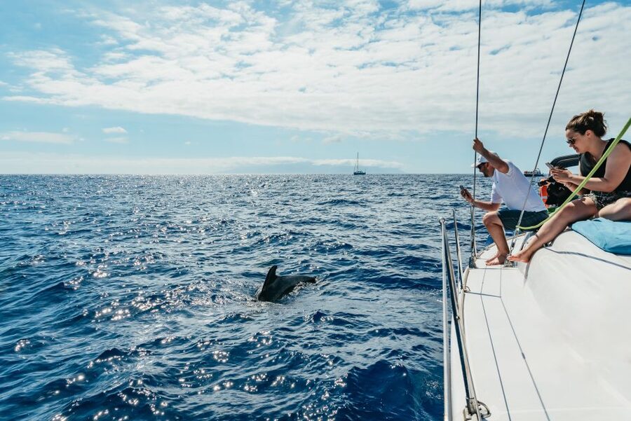 Tenerife: Whale & Dolphin Watching with Drinks and Snacks - Why this Tenerife whale-watching trip feels different