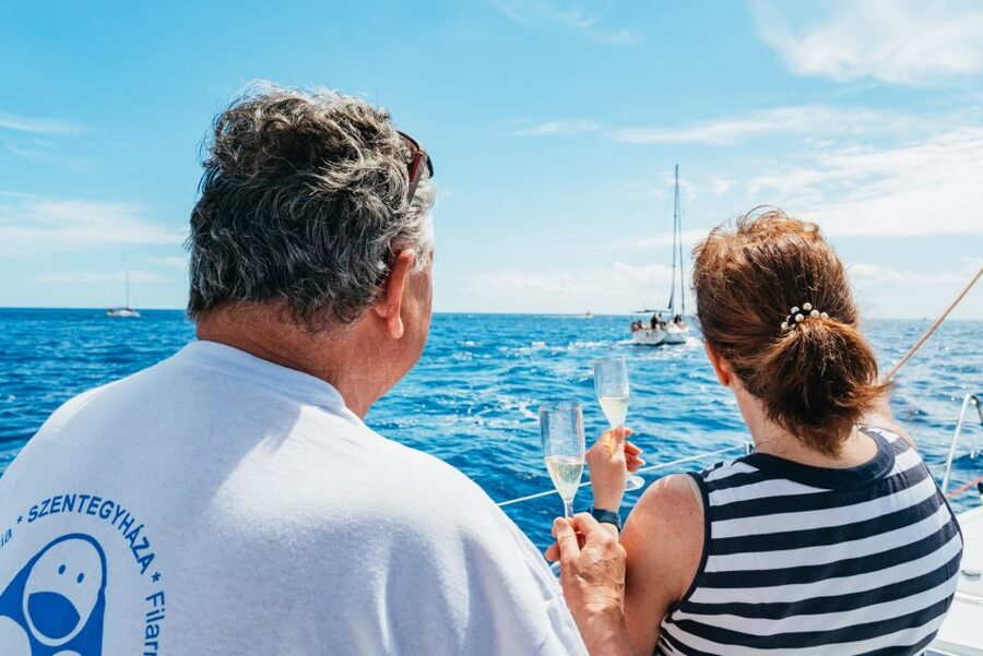 Tenerife: Whale & Dolphin Watching with Drinks and Snacks - Quiet time in a bay for swimming and snorkeling
