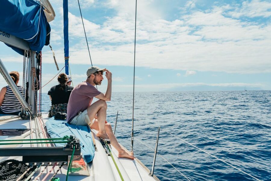 Tenerife: Whale & Dolphin Watching with Drinks and Snacks - Snacks, drinks, and the practical comfort level