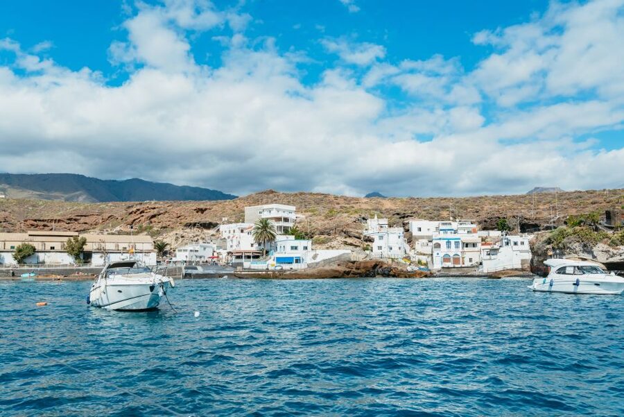 Tenerife: Whale & Dolphin Watching with Drinks and Snacks - The guides make a real difference