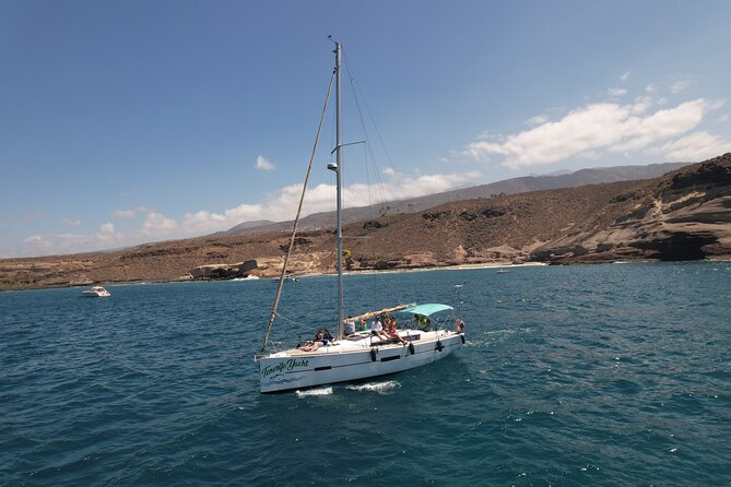 Tenerife Whale Watching and Snorkeling Yacht Trip - Whale and dolphin watching in the Atlantic