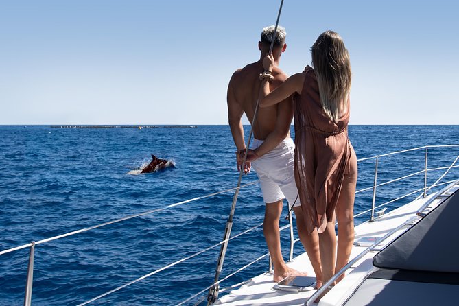 Tenerife Whale watching on private charter - Setting sail from Puerto Colón