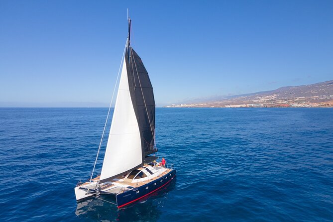 Tenerife Whale watching on private charter - Crew service and the feel on board