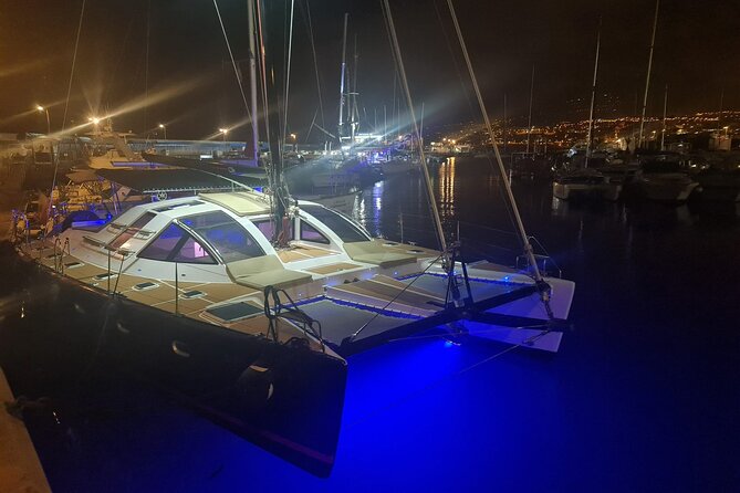 Tenerife Whales and Dolphins Watching Experience in Catamaran - What makes a small catamaran better