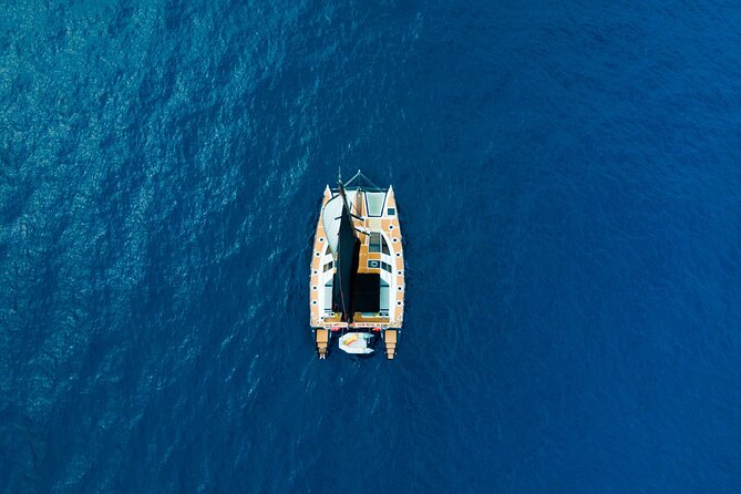 Tenerife Whales and Dolphins Watching Experience in Catamaran - The south coast from the water