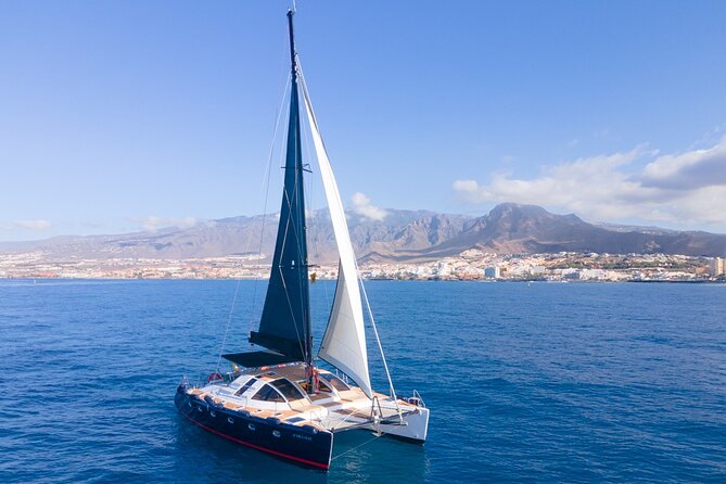 Tenerife Whales and Dolphins Watching Experience in Catamaran - Booking, cancellation, and practical details