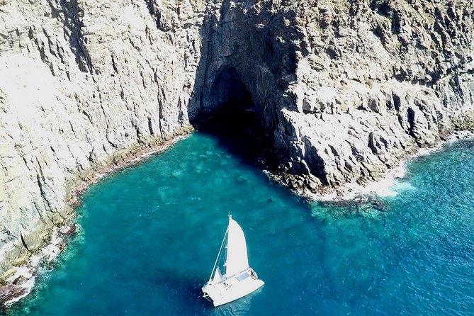 Tenerife Whales and Dolphins Watching Experience in Catamaran - Should you book the Tenerife catamaran trip?
