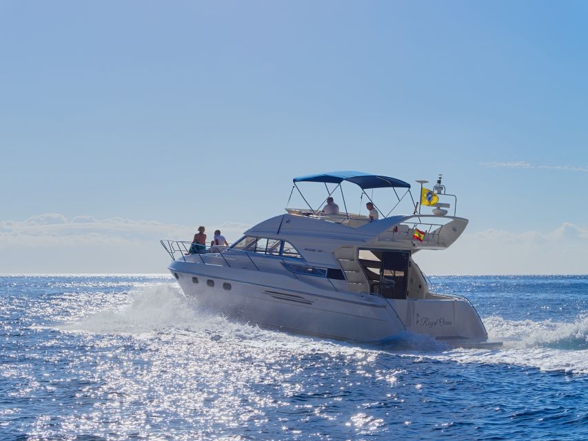 Tenerife: Whales and Snorkeling Tour on a Luxury Yacht - What the crew adds