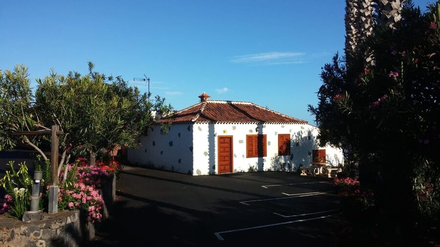 Tenerife Wine: Guided Tour & Tasting with Canarian bites - The food pairing is part of the value
