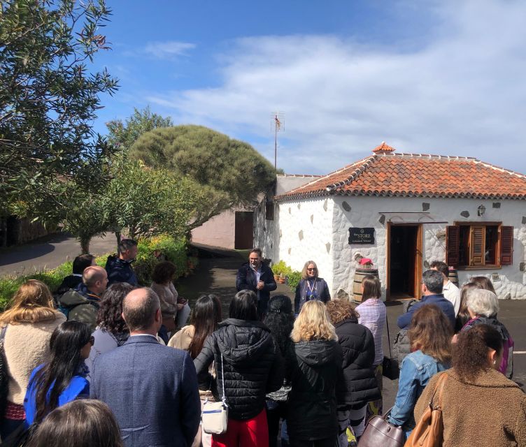 Tenerife Wine: Guided Tour & Tasting with Canarian bites - Walking through the Varietal Garden and old vines