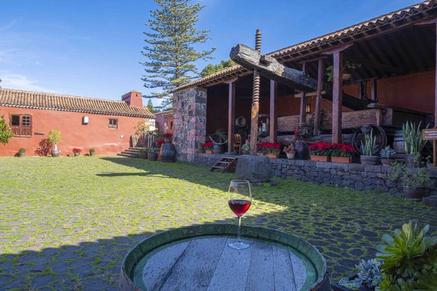 Tenerife: Wine Museum Ticket with Local Wines & Food Tasting - The garden and traditional grape varieties
