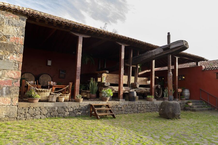 Tenerife: Wine Museum Ticket with Local Wines & Food Tasting - Who will enjoy this visit