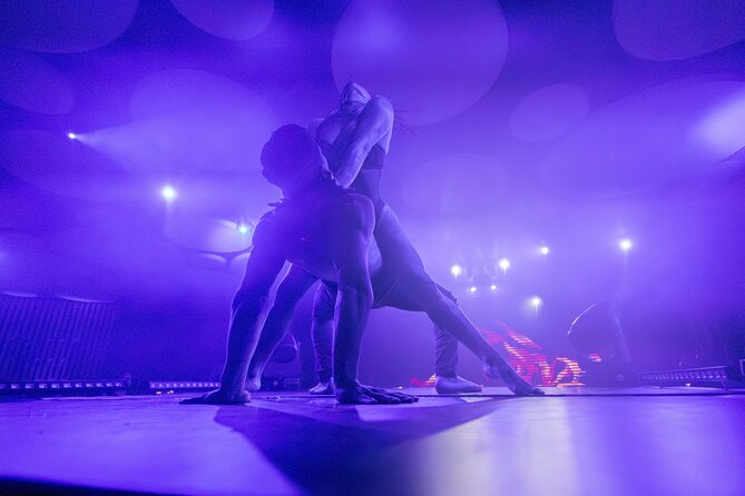 Ticket for Scandal Dinner Show in Santa Cruz de Tenerife - Key points to know before booking