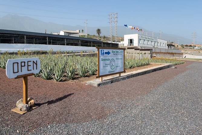 Tour Visiting banana plantation and winery in Tenerife - The climb toward Vilaflor