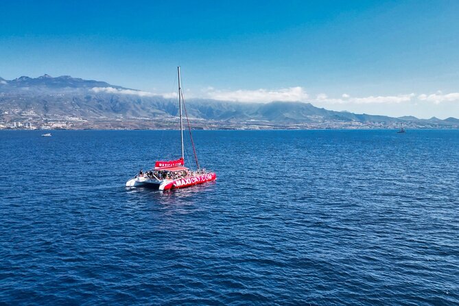 Tour with Whale and Dolphin Watching plus food included - Watching Whales and Dolphins Off Tenerife