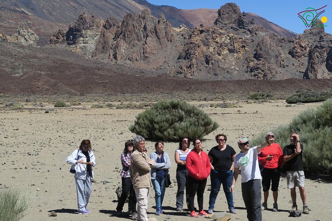 Trekking, wineries, birdwatching, local gastronomy, etc. - Birdwatching in northern Tenerife