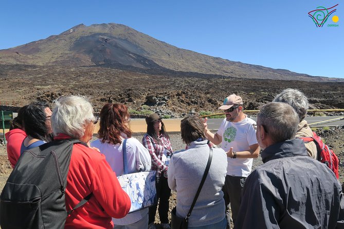 Trekking, wineries, birdwatching, local gastronomy, etc. - Trekking with more meaning underfoot