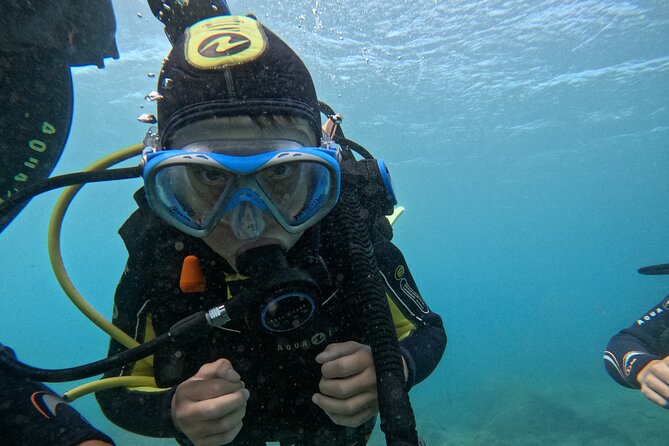 Try Dive in Abades Bay with a private instructor - Reaching the volcanic house reef from the beach