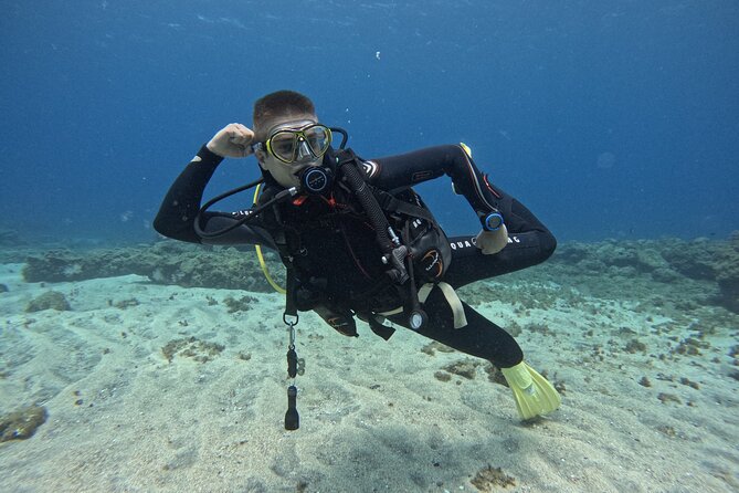 Try Dive in Abades Bay with a private instructor - Who will enjoy this most