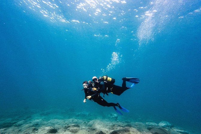 Try Dive in Tenerife - Key points to know before booking