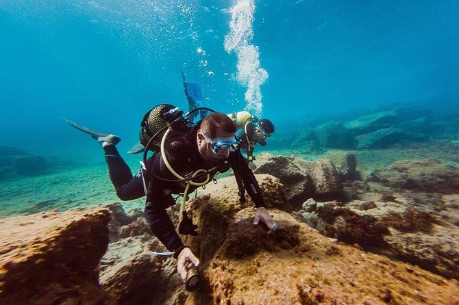Try Dive in Tenerife - Starting at Puerto Colón in Costa Adeje