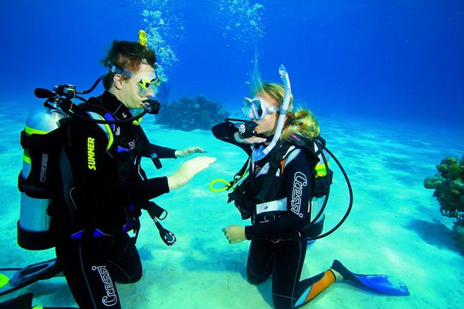 Try Dive - PADI Discover Scuba Diving in Tenerife - Your first underwater session