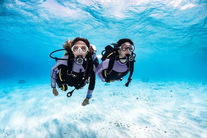 Try Dive - PADI Discover Scuba Diving in Tenerife - Learning on land before entering the water